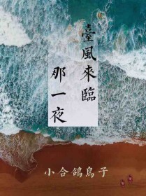 ̨��������һҹ